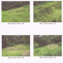 팽성읍 노와리 소로 3-55 | [경기평택시칠원동/ 임야경매],최저가 1,047,522,000원(70%),2015년 01월 12일예정,2014타경10609