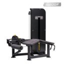 고구마 휘트니스 이미지