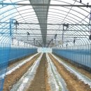 영애농장 이미지