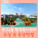 반구2동 행정복지센터 | 반구2동 행정복지센터 도심 속 옥상텃밭