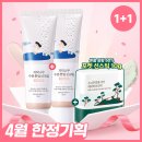 소나무기획 티스토리