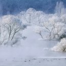 겨울나그네 이미지