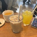 속솜스테이 | 도심 속 작은 출가, 원데이 템플스테이 프로그램 “아로마테라피 &amp; 씽잉볼” 체험 후기(՞•֊•՞)