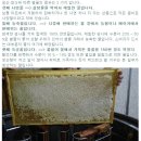 김동석농장 네이버블로그