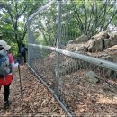 내곡동439 이미지