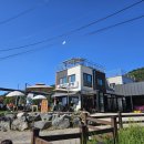 삼선산수목원 벚나무 이미지