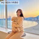 어반하우스펜트 이미지