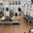 필라테스파인트리 | 봉명동필라테스 유성구 대전 재활 체형교정 필라테스파인트리 가격 이벤트 후기