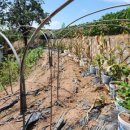 그늘막74 이미지