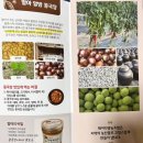 제이티 영농조합법인 이미지