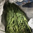 영미상사 | 25년 5월