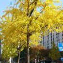 오봉경로당 이미지