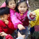 웨스포어린이집 이미지