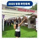 영동체육관 | 2025 영동와인축제 일정 가수 라인업 주차장 후기