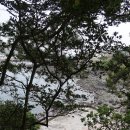 제주도 천지연폭포 새연교 새섬 자구리해변 서낭머리 정방폭포 소정방폭포 2(20230522) 이미지
