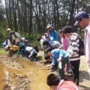 웅포활성화센터 이미지