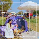 (주)코리아세븐 뚝섬유원지점 | 뚝섬 한강공원 텐트대여 힐링피크닉 벚꽃명소 뚝섬유원지 데이트 텐트존 위치