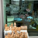 예술빨래방 이미지