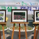 상2동 행정복지센터 이미지