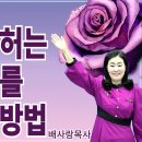 26-05-17 포도원을 허는 다양한 여우 박멸하는 방법[주일영광예배] 이미지
