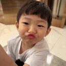 연호리조트 | 인스파이어 리조트 포레스트타워 디럭스 킹, 아기랑 다녀온 후기