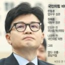 [서울경제] 한동훈 국힘 비대위원장 '적합' 22% 이미지