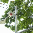 도봉-도봉-2431 이미지