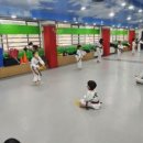국민태권도장(미룡관) 이미지