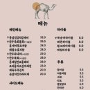 붉은낙타