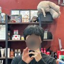 엉클부스 목동점 네이버블로그