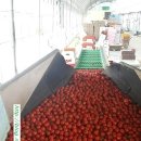 가경농장 이미지