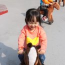 (주)아이베 | 용인 코코몽 에코파크 방문 솔직후기!