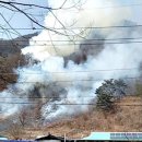 김삿갓면-20 이미지