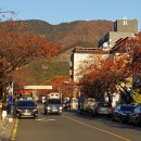 부곡온천관광특구 Daum카페