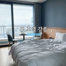 유환목장 | 강릉여행 SL호텔강릉 가성비 오션뷰 호텔 룸서비스 후기
