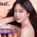 솔솔헤어 네이버블로그