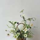 앤의정원 이미지