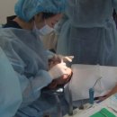 서울정치과의원 이미지