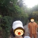 IDEAR | 코사무이 반자유여행 반얀트리 4박 후기 - 3일