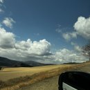 애니렌트카 | 후쿠오카 유후인 벳푸 <아프리칸 사파리> 렌트카 타고 간 후기: 진심 감동이었더요