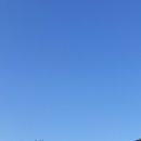 순이네농장 이미지