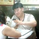 엄마손동물병원 이미지