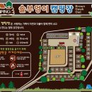 솔부엉이캠핑장 이미지