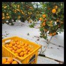 진정농장 이미지