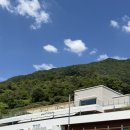 베이커리숲 | [하동 카페] 지리산 뷰 베이커리 카페 하동 「숲속」 내돈내산 후기