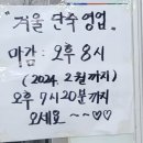 단가네속살칼국수 | 충남 홍성 로컬 단가네속살칼국수 내돈내산 솔직후기