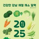강남채소