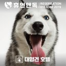 휴먼앤독 이미지