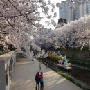 병준농장 이미지