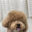 다녀오개습니다 이미지